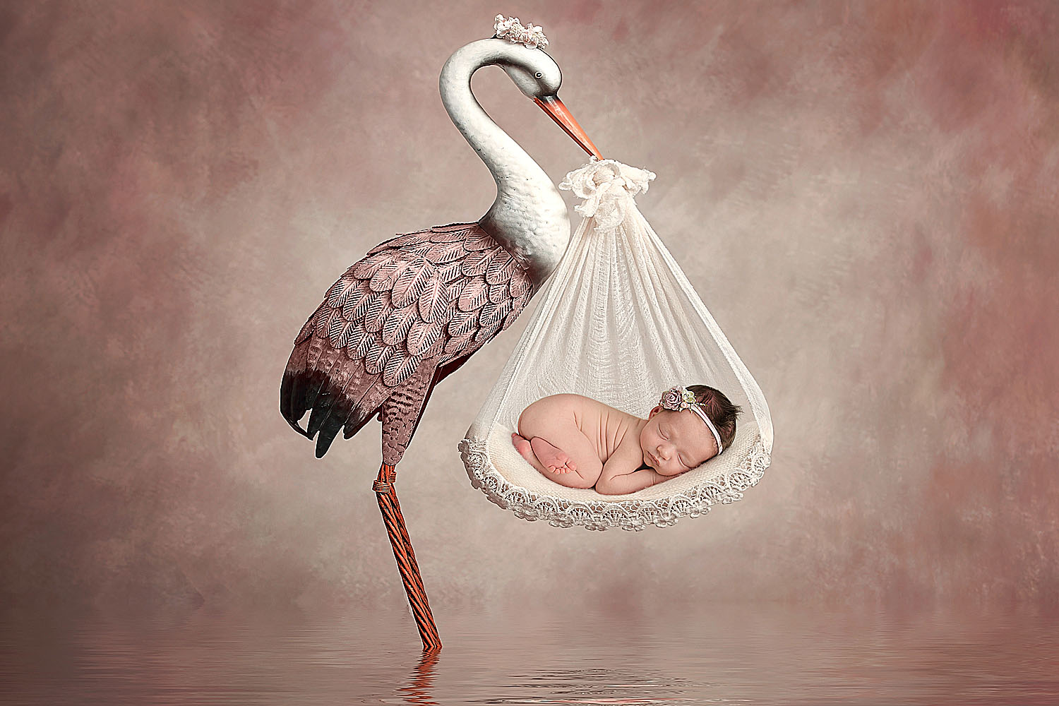 stork carrying newborn baby photoshoot in hollywood photographer