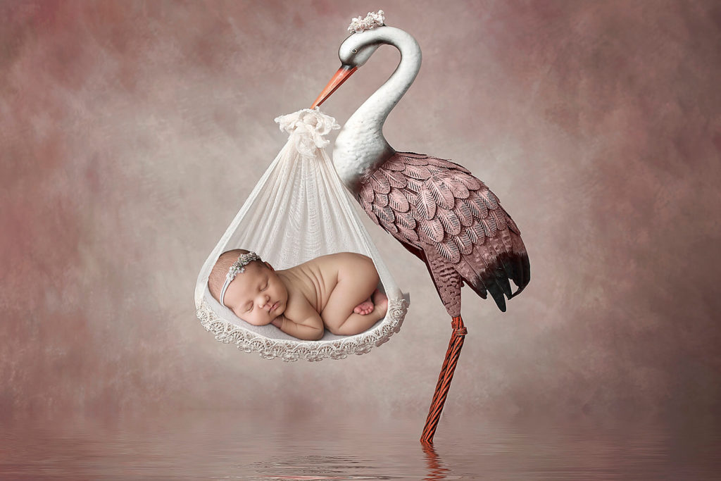 newborn baby carried by a stork