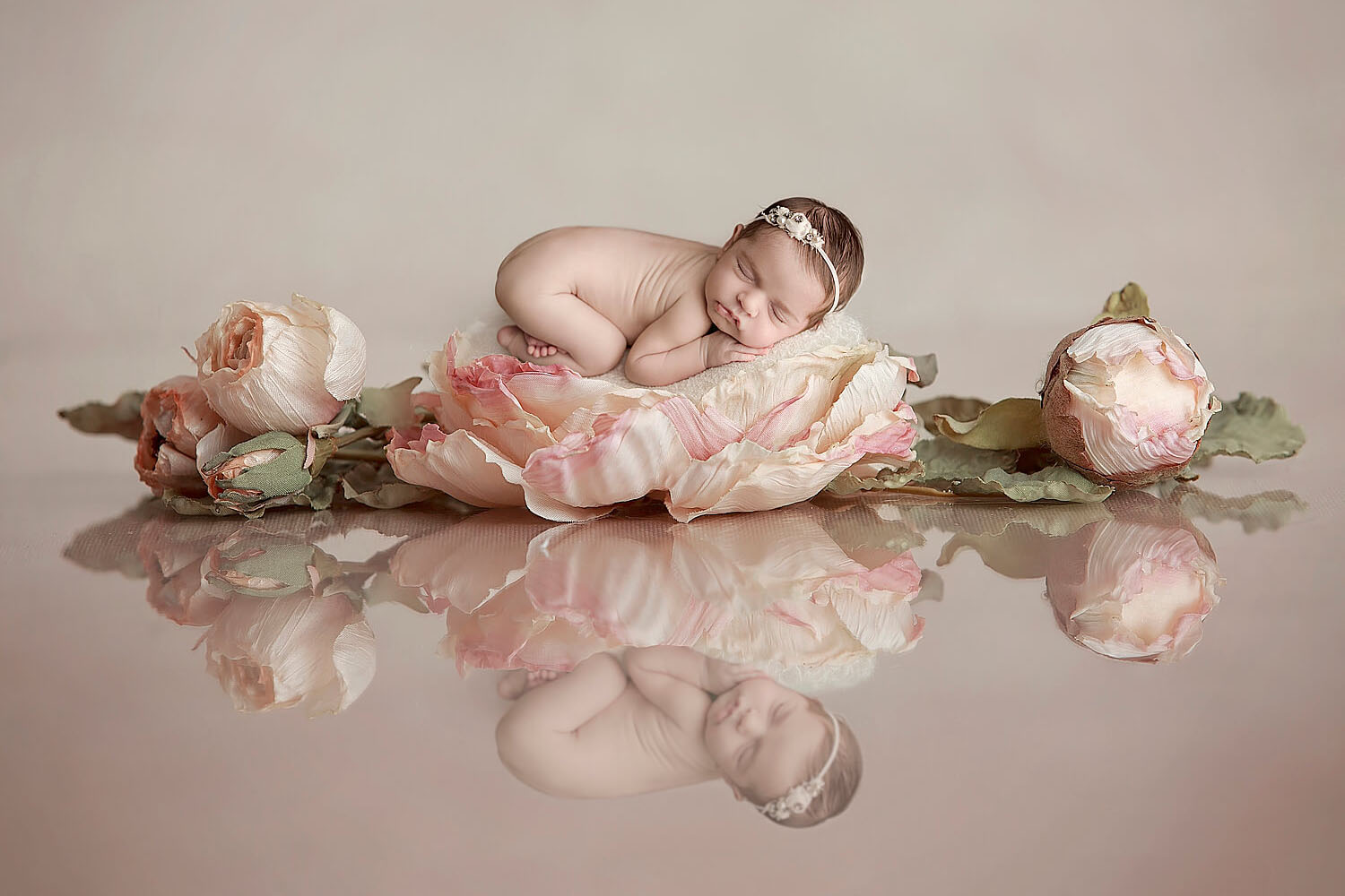 newborn baby girl laying on a flower