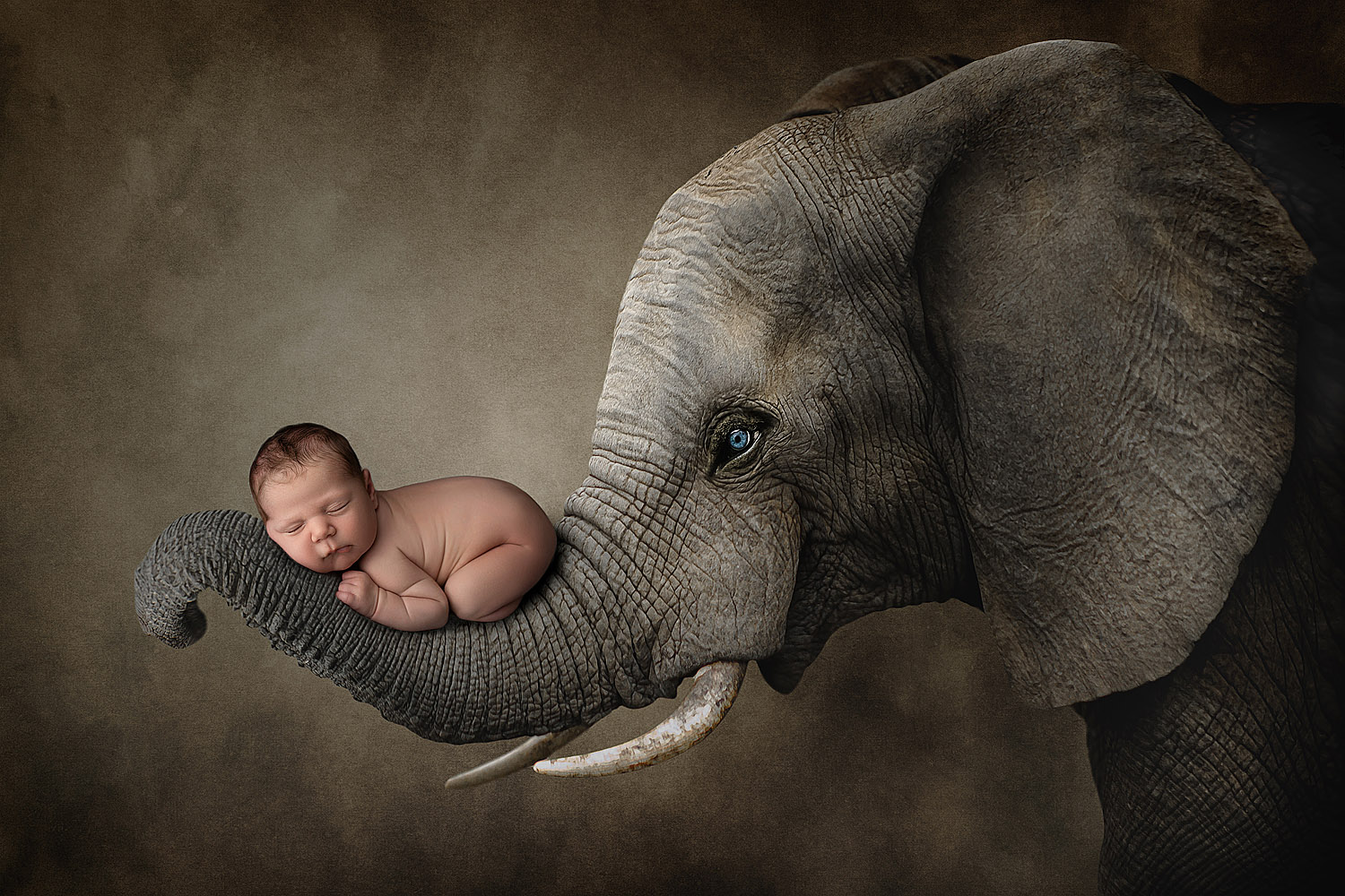 newborn baby on elephant trunk
