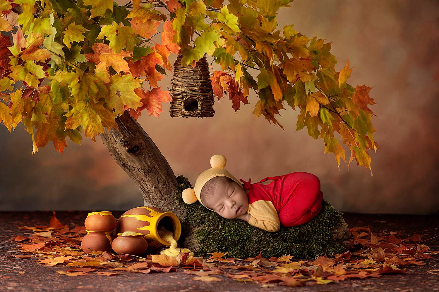 baby dressed in winnie the pooh under tree newborn session in coral springs, FL