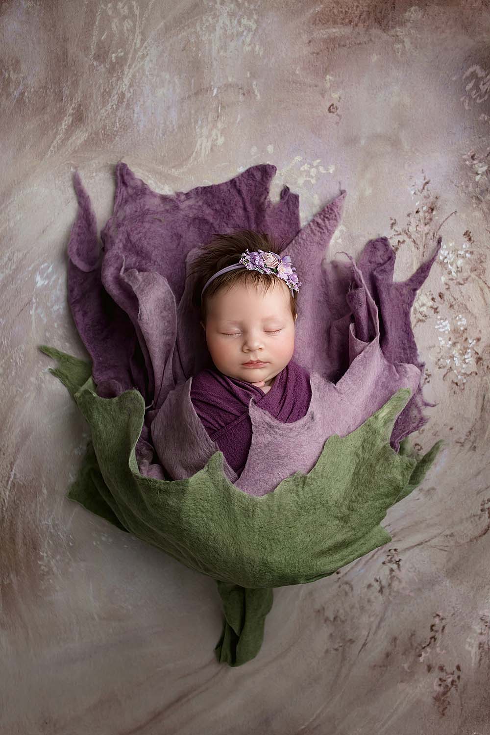 baby posed in a flower for newborn photos in weston, fl
