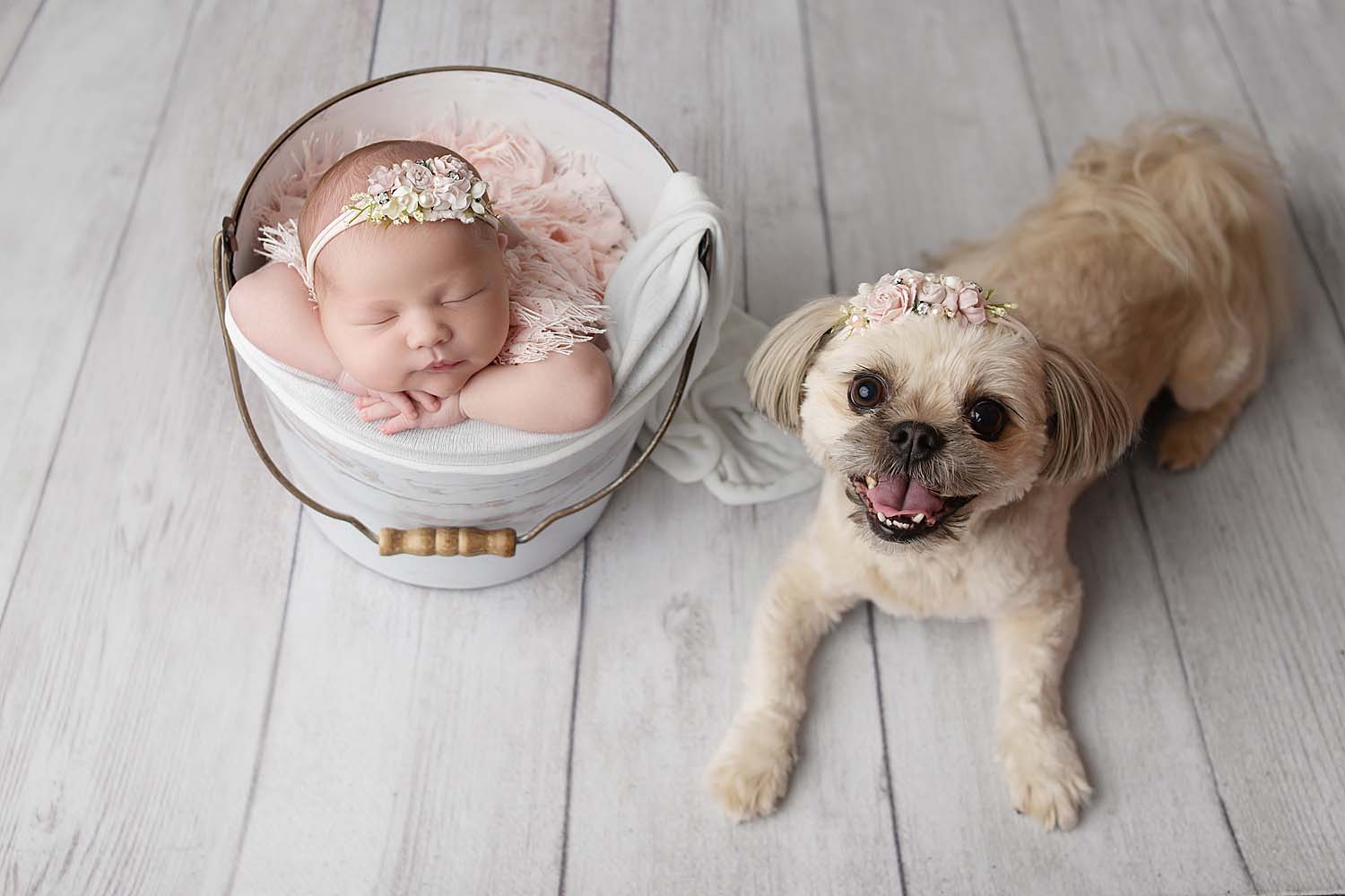 baby with dog for newborn photos in plantation, FL