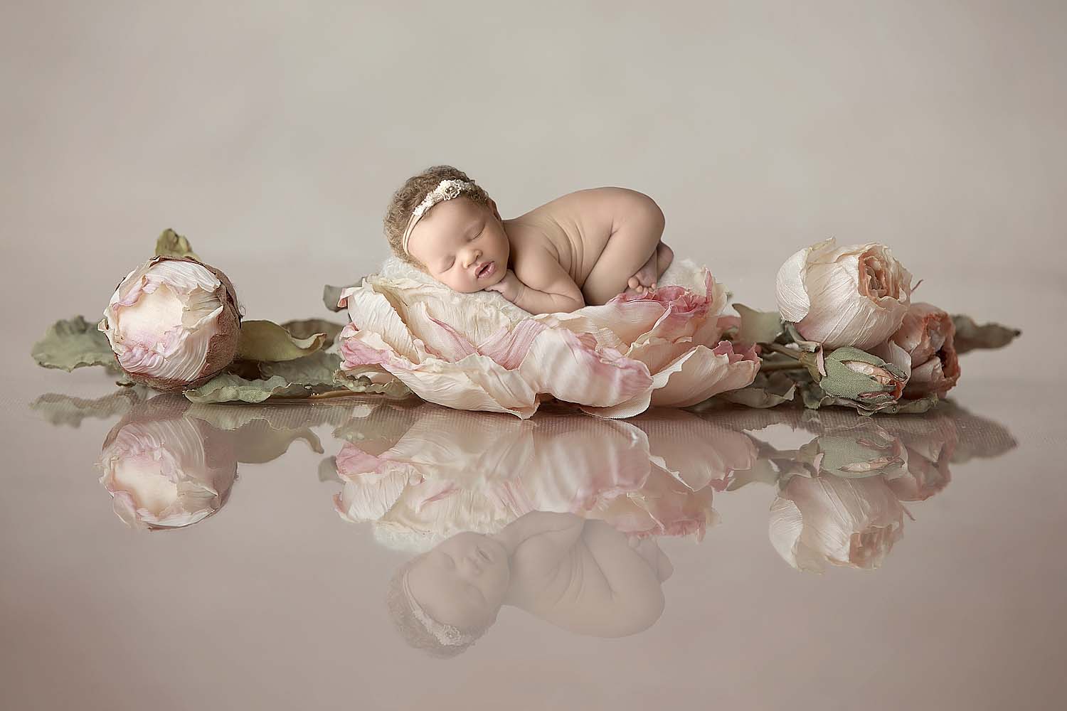 newborn baby posed on flower for photos in fort lauderdale, FL