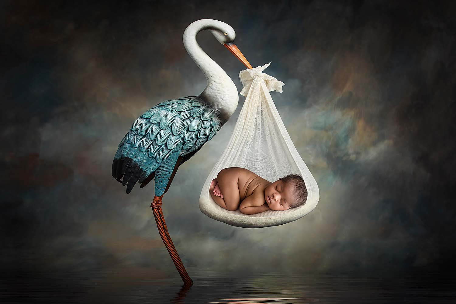newborn posed in a stork in hollywood, FL